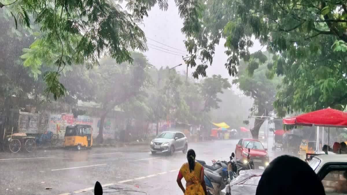 తెలంగాణపై వరుణుడి జోరు.. పలు జిల్లాలకు ఎల్లో అలర్ట్‌